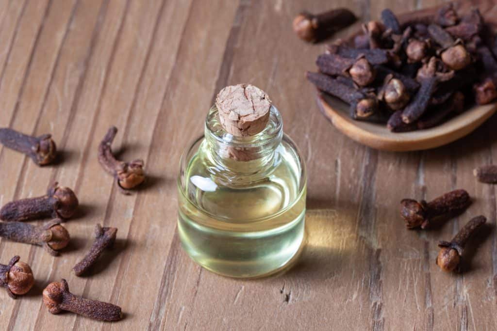 A bottle of clove essential oil with cloves on a table
