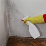 spraying baking soda solution to get rid of molds