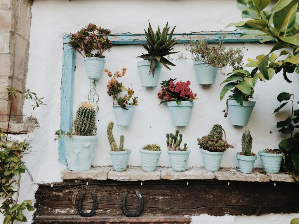 Plants in Pot on Wall vertical garden