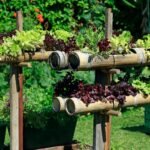 a bunch of plants that are in a vertical garden