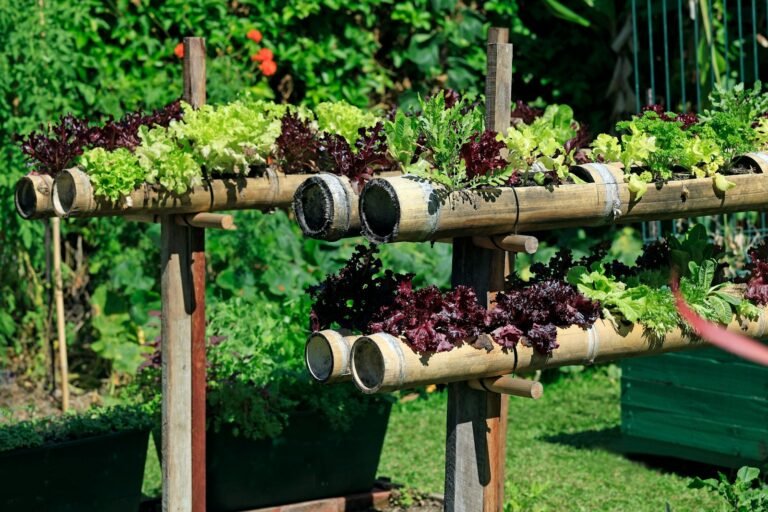 a bunch of plants that are in a vertical garden